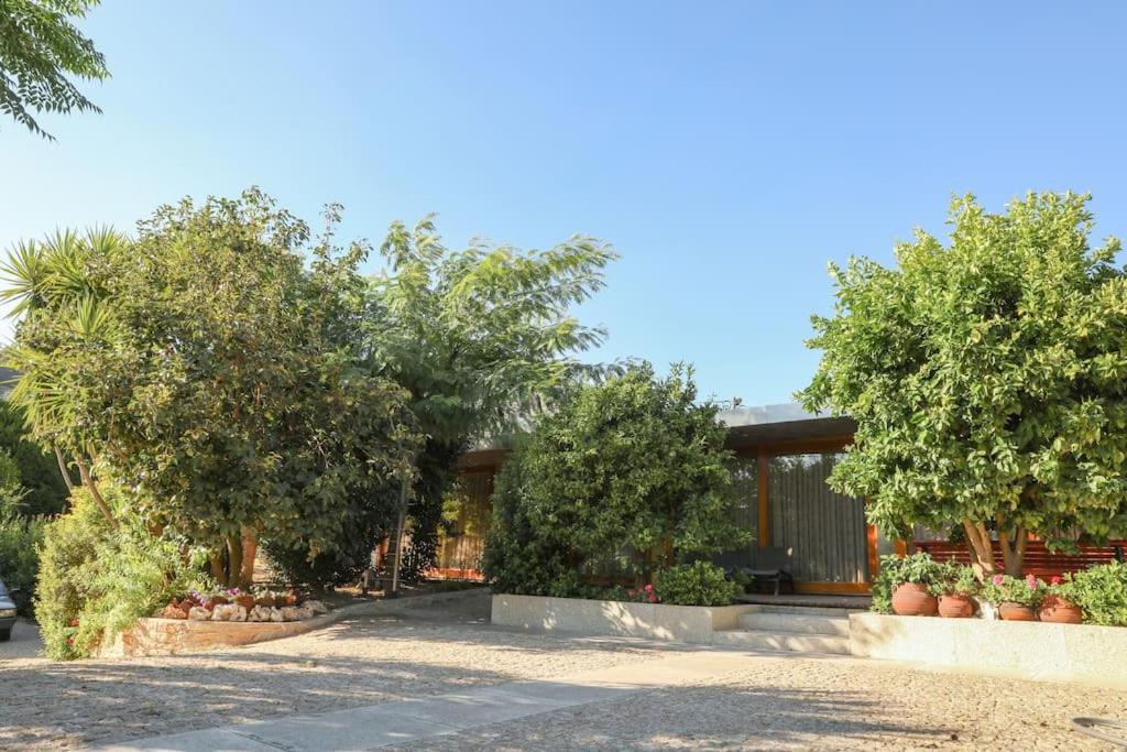 Quintinha Das Laranjeiras Santa Cruz do Douro Ngoại thất bức ảnh